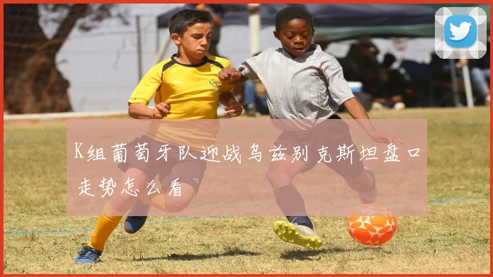 K组葡萄牙队迎战乌兹别克斯坦盘口走势怎么看