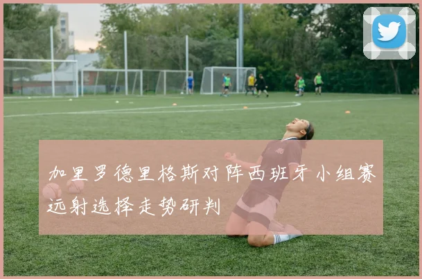 加里罗德里格斯对阵西班牙小组赛远射选择走势研判