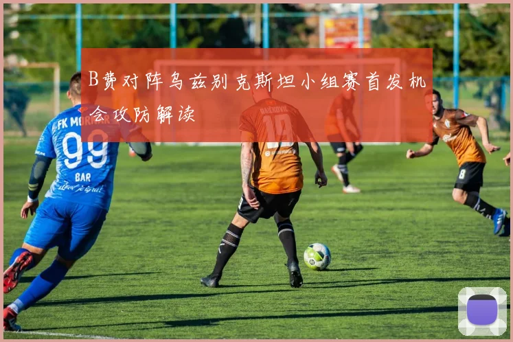 B费对阵乌兹别克斯坦小组赛首发机会攻防解读