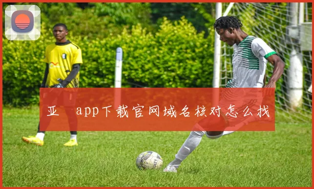 亚愽app下载官网域名核对怎么找